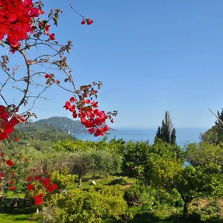 Apartment Haus Lemoni -